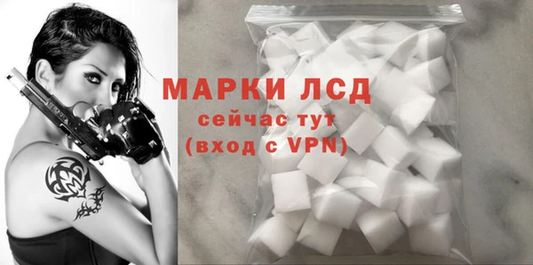 прущие грибы Алзамай