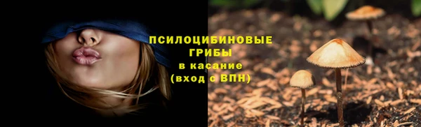 прущие грибы Алзамай