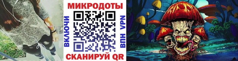 цены   Сунжа  Галлюциногенные грибы Cubensis 