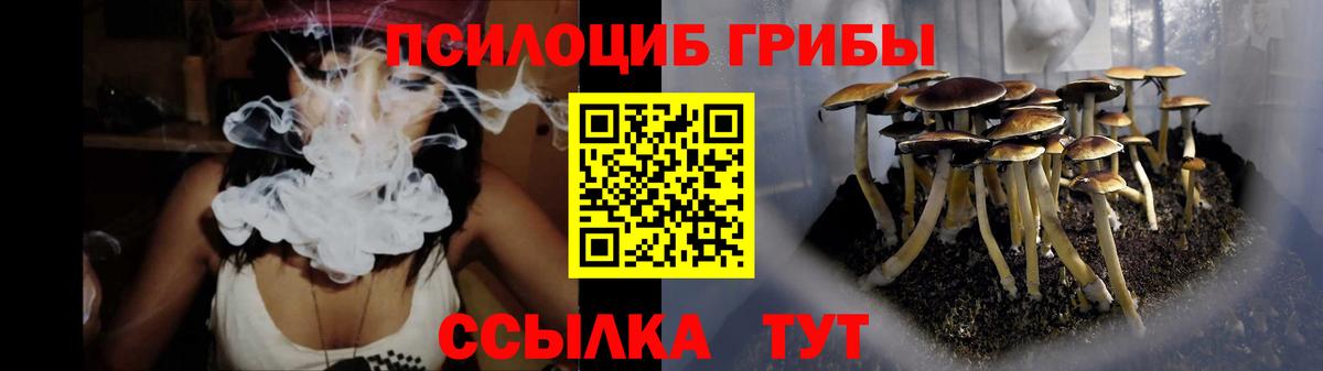 Сунжа  Галлюциногенные грибы мухоморы  Вход с VPN  цена   Галлюциногенные грибы Magic Shrooms 